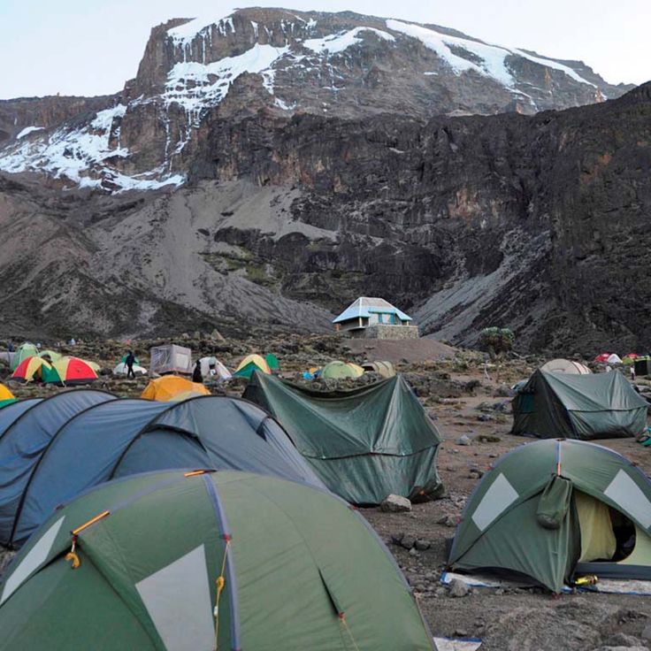 8 Days Mount Kilimanjaro Trekking – Lemosho Route